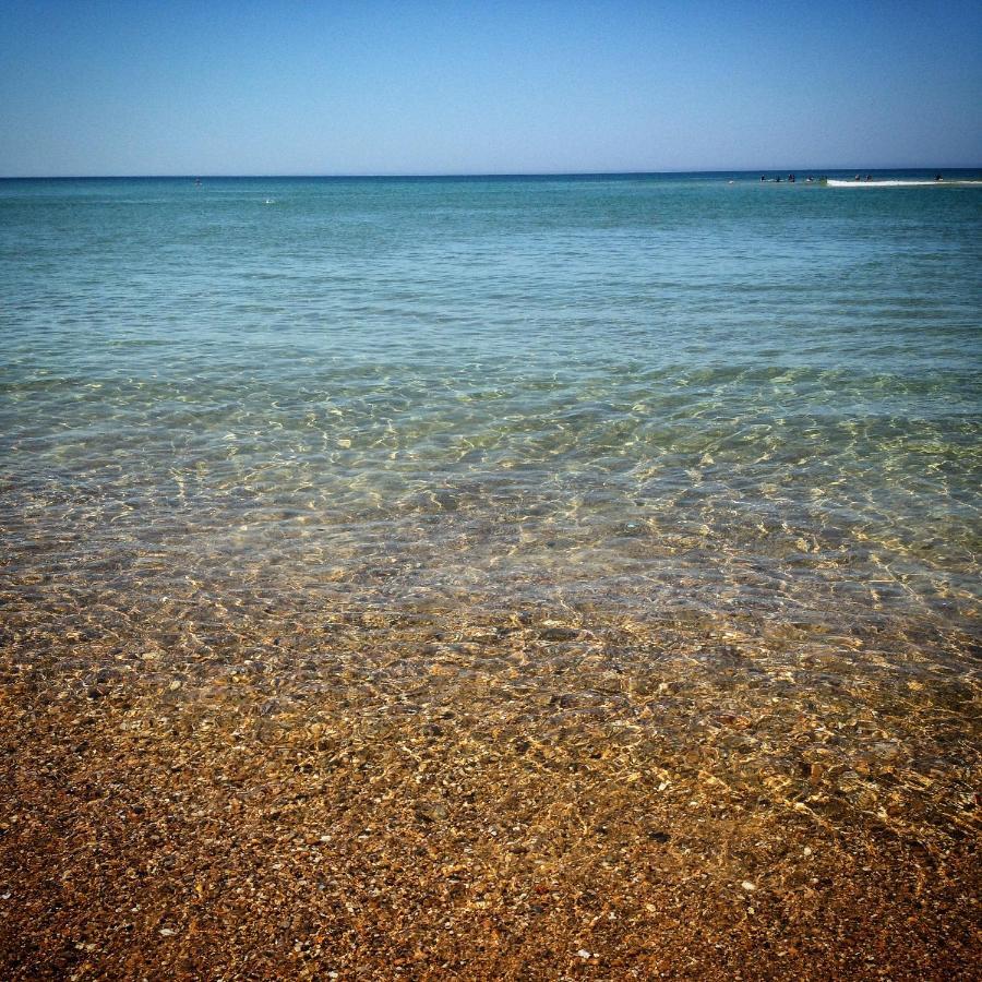 Studio Entre Lac Et Ocean A Hossegor ソール・オスゴール エクステリア 写真